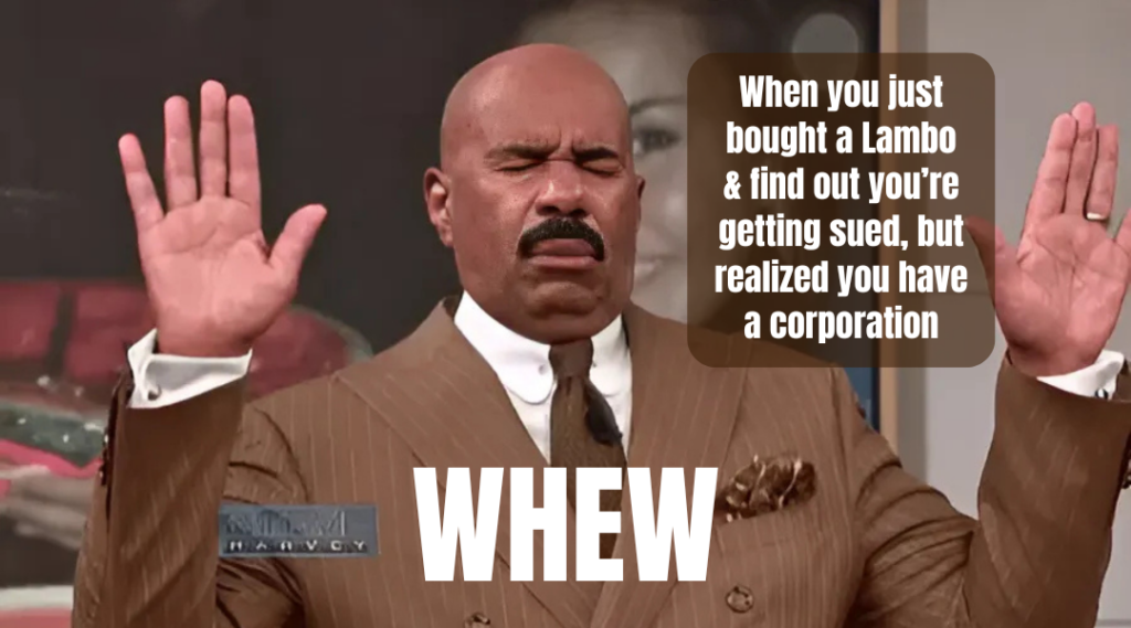 meme about incorporation vs sole proprietorship